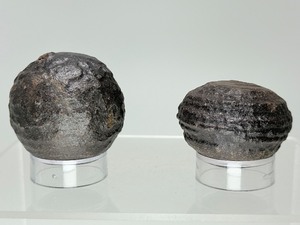 lot 90 image: Moqui Balls, Moki Marbles or Shaman Stones, Bonded Pair, Male (disc like with ridge) and Female (round)   196 gm  7 oz.