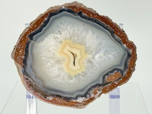 lot 118 image: Polished Agate Geode Half 783 gm  1.72 lb.