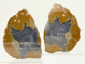 lot 44 image: Nice Thunder Egg Pair 1 kilo 352 gms  2.978 lbs. Is a nodule-like rock, similar to a filled geode, that is formed within rhyolitic volcanic ash layers