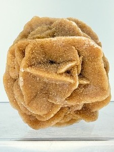 lot 21 image: Unique Raw Desert Rose 195 gm  6.8 oz. Stone of the Mind