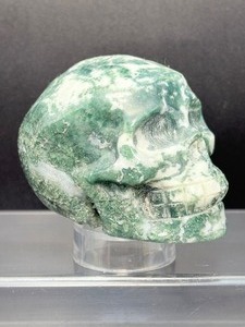 lot 9 image: Bewitching Tree agate skull  285gm  12.2oz  2inches