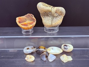 lot 87 image: Montana Agate Lot of 3 1 cutpolished side pair, 1 half polished piece and 6 tumbles.  Total Weight 515gm  1 lb 2.1 oz. It is a semi-precious gemstone and prized for its unique, nature-like patterns caused by mineral includsions