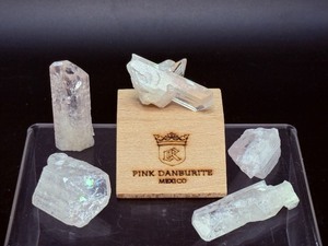 lot 11 image: Danburite Lot of 5 including the wood stand 77gm  2.7oz.  Weight is stones only, not the stand