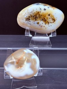 lot 151 image: Aquatic Agate Polished Lot of 2  238 gm.  8.4 oz.