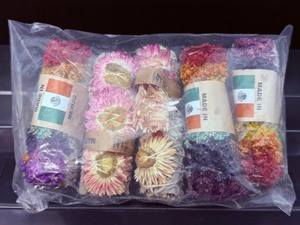 lot 269 image: Mexican White Sage with Straw Flowers Lot of 5