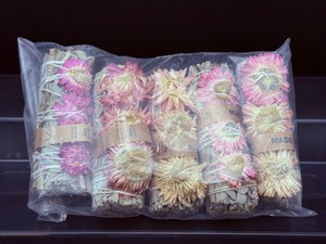 lot 256 image: Mexican White Sage with Straw Flowers Lot of 5