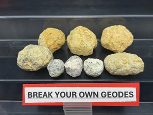 lot 232 image: Break Your Own Geodes 5 medium and 3 small 264 gm  9.3 oz.   Geodes may be filled with crystal beauty or be solid with little crystal.