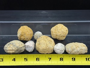 lot 232 image: Break Your Own Geodes 5 medium and 3 small 264 gm  9.3 oz.   Geodes may be filled with crystal beauty or be solid with little crystal.