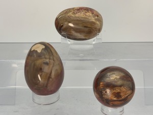 lot 17 image: Petrified Wood Lot of 3 Egg, Pamstone and Sphere Weight in description.