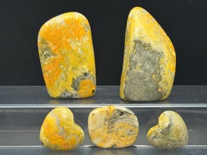 lot 161 image: Bumble Bee Jasper Polished Lot of 5  470 gm.  1 lb. is a vibrant, rare, and relatively recently discovered carbonate-rich rock from Indonesian volcanoess