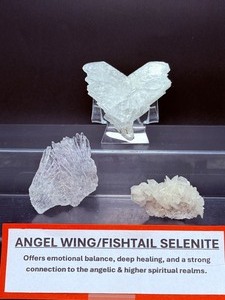 lot 177 image: Selenite ( Angelwing & Fishtail) Lot of 3.  Heart shape 113 gm  3.9 oz.  Thin flat 21 gm  .7 oz  Palm Shahped Angelwing 26 gm  ,9 oz.  Total Weight 159 gm  5.6 oz.