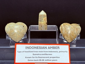 lot 185 image: Indonesian Amber Polished Lot of 3 2 hearts (one with tiny chip on end) and 1 tower  Total Weight 93 gm  3.2 oz. See description for more information