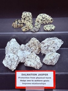 lot 300 image: Dalmation Jasper rough and polished lot of 11 295 gm.  10.4 oz.