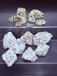 lot 300 image: Dalmation Jasper rough and polished lot of 11 295 gm.  10.4 oz.