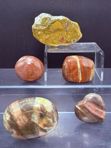 lot 201 image: Petrified Wood Polished Lot of o5 2 palmstones, 2 chunks, and 1 heart.  Total Weight 400 gm  14.1 oz