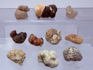 lot 233 image: Interesting Snakeskin Agate Rough Tumbles 181 gm  6.6 oz