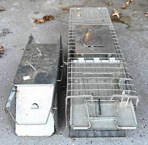 lot 230H image: G - Set of 2 Havahart Live Animal Traps Metal Wire Cages