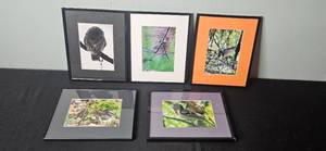 lot 132 image: Set of Framed Bird Photographs Including Owl and Songbirds
