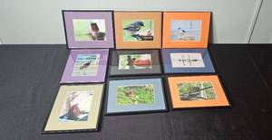 lot 140 image: Set of Framed Bird Photographs by Burnes of Boston