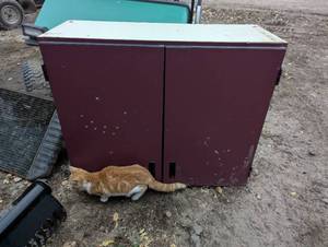 lot 18 image: Garage Cabinet with 1 Shelf