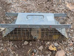 lot 33 image: Large Live Animal Trap