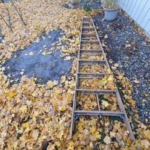 lot 206 image: 12 Ft Nice Clean Step Ladder