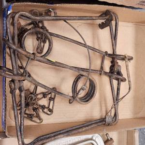 lot 258 image: 330 Conibear Trap