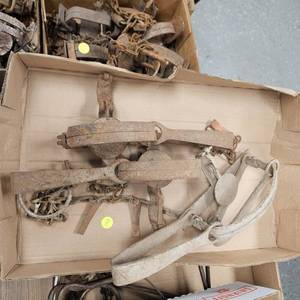 lot 261 image: 3-XL WolfCoyoteFox Leg Traps