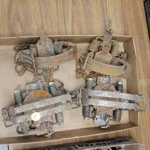 lot 264 image: 2 Large and 2 Extra Large Foot Hold Traps