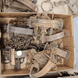 lot 265 image: 6-Foot Hold Traps