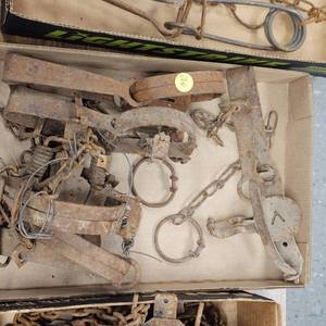 lot 266 image: 6-Foot Hold Traps