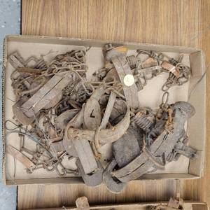 lot 267 image: 6-Foot Hold Traps