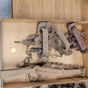 lot 268 image: 1 Conibear, 2 Foot Hold Traps