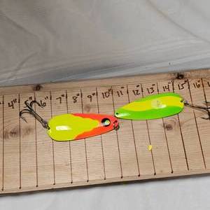 lot 234 image: 2 XXL 5 ChartueseOrange Daredevils