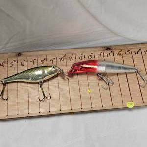 lot 238 image: 2 Rapala 7 SSR Crankbaits