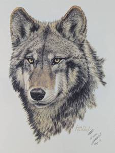 Timber Wolf (Print only)