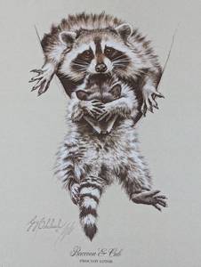 lot 15A image: Raccoon & Cub (Print only)