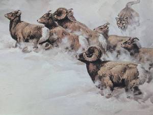 lot 18 image: Rocky Mountain Chase (Print only)