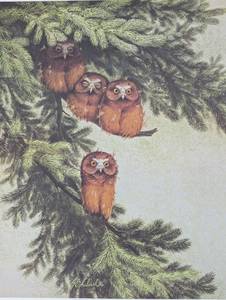 lot 14A image: Baby Saw-whet Owls (Print only)