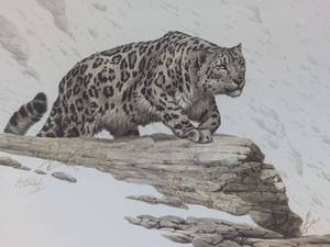 lot 3 image: Mountain Stalk (Framed)