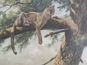 lot 4 image: Rocky Mountain Lion (Framed)