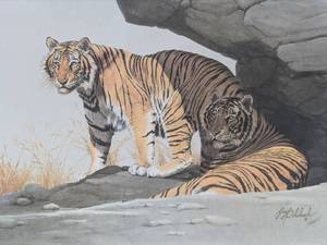 lot 5 image: Bengal Brace (Framed)