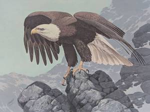 Bicentennial Eagle (Framed)