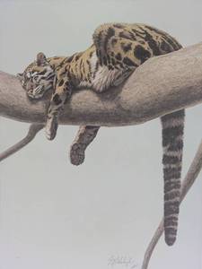 lot 8 image: Clouded Siesta (Framed)