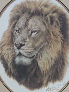 Lion Head (Framed)