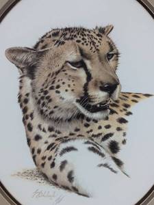 lot 10 image: Cheetah Head (Framed)
