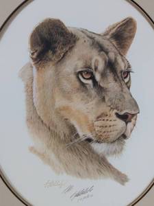 lot 9A image: Lioness Head (Framed)