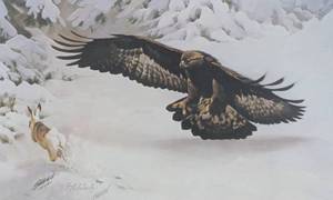 lot 7A image: Mountain Stalk (Framed)