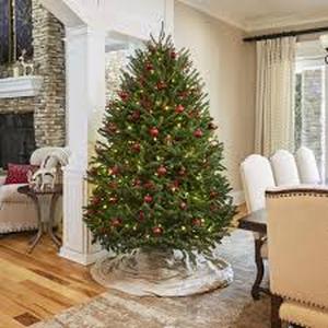 lot 2 image: National Tree Company 4.5-ft. Pre-Lit Dunhill Fir Artificial Christmas Tree
