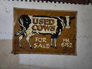 lot 102 image: USED COWS FOR SALE PH. 682.